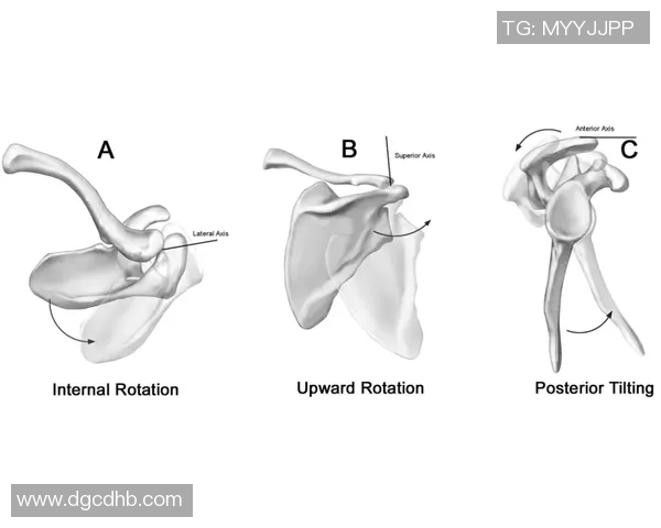 腾空瞬间：解码人体跃升的生物力学