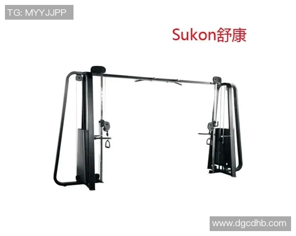 飞鸟组合健身器材产品介绍及训练方案